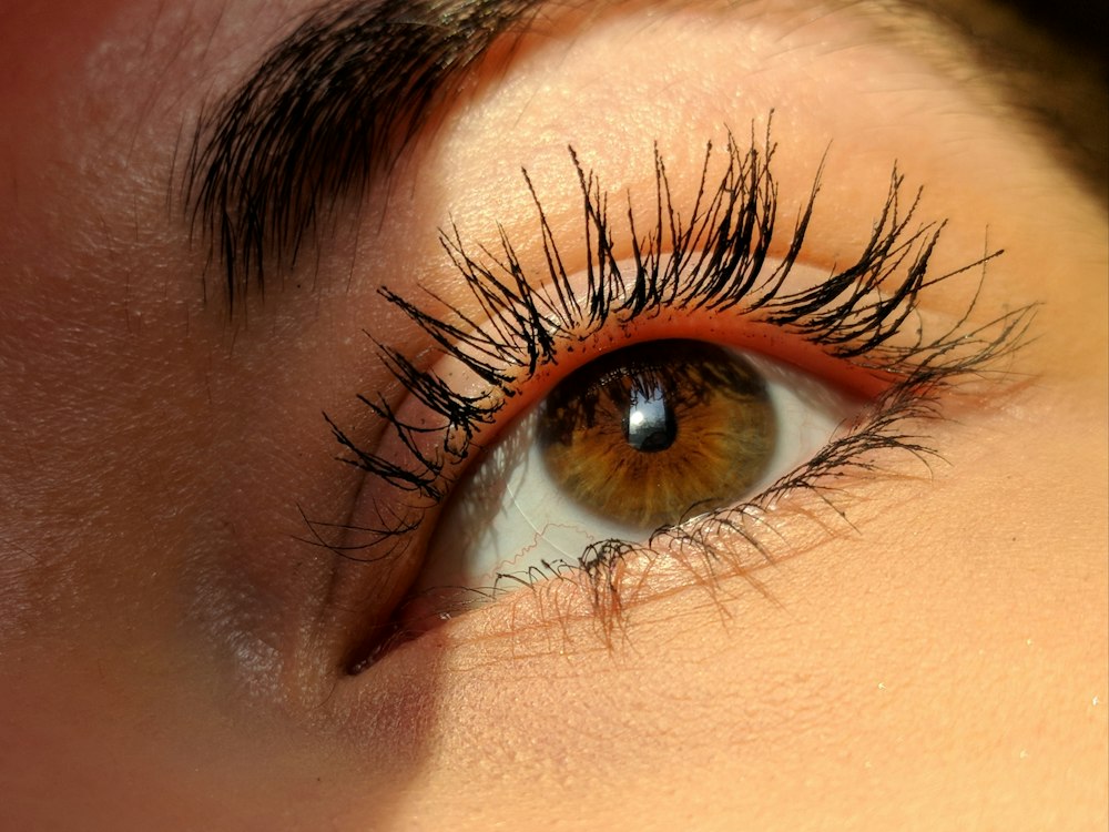 Lash Alchemy
